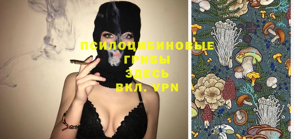 кокс Аркадак