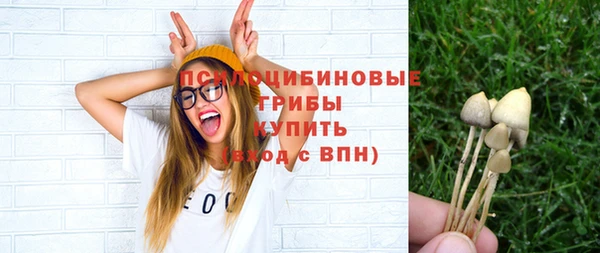 мет Арсеньев