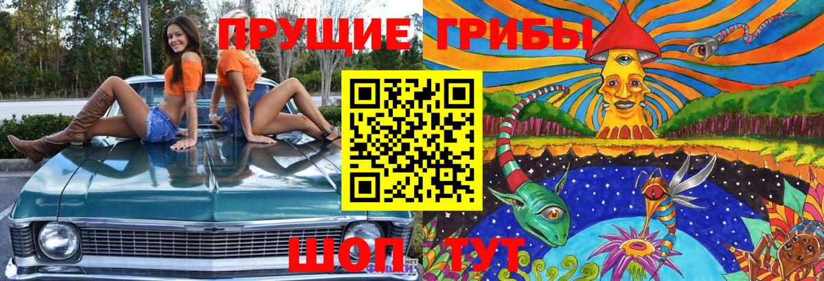 Сыктывкар  Галлюциногенные грибы прущие грибы  Вход с VPN 
