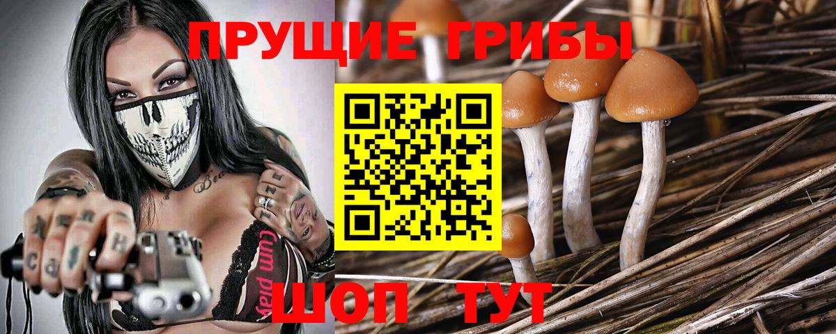 Псилоцибиновые грибы мицелий Сыктывкар
